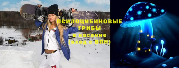 ГАЛЛЮЦИНОГЕННЫЕ ГРИБЫ Баксан