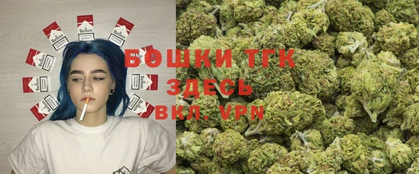 ГАЛЛЮЦИНОГЕННЫЕ ГРИБЫ Баксан
