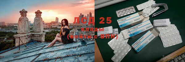 ГАЛЛЮЦИНОГЕННЫЕ ГРИБЫ Баксан