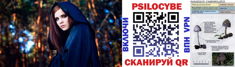 Псилоцибиновые грибы прущие грибы где можно купить Свободный