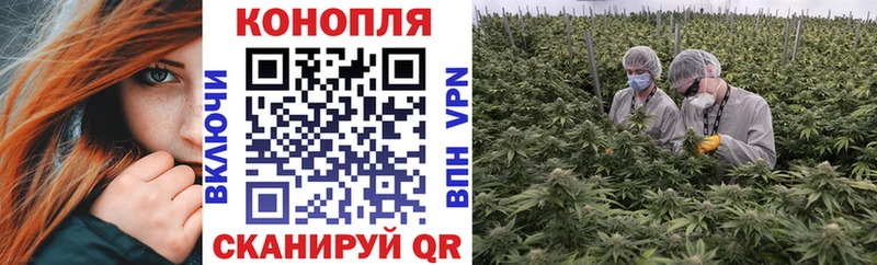 Конопля индика где продают Свободный